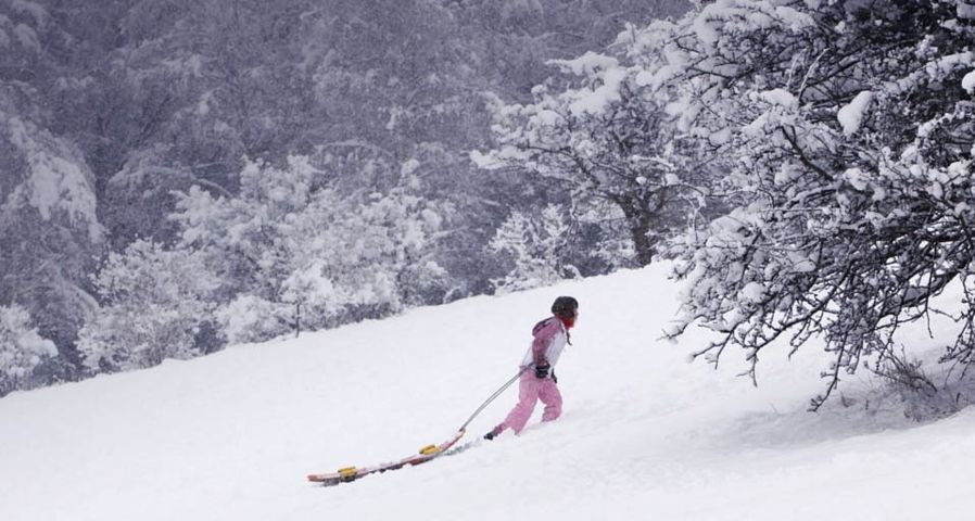 A sledger carries her sleigh up to the top of the slope on a snow-covered golf course in Henley-on-Thames, England