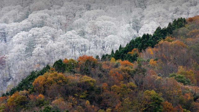Arrivée de l’hiver au Japon