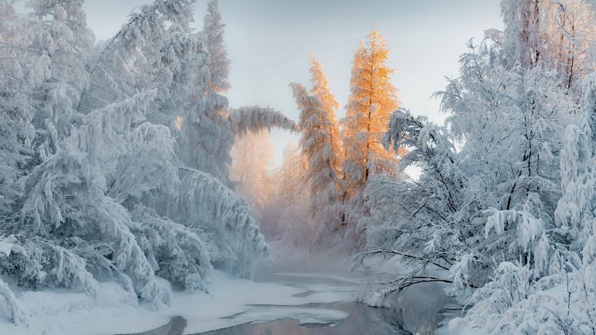 奥伊米亚康的冬天，俄罗斯