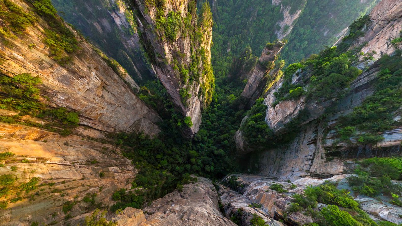 Rising movie stars - Spotlight Gallery