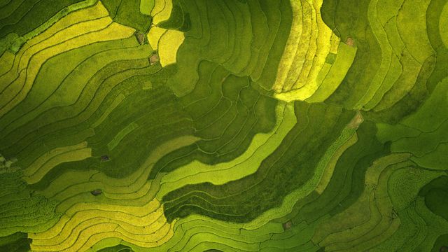 Hues of the harvest