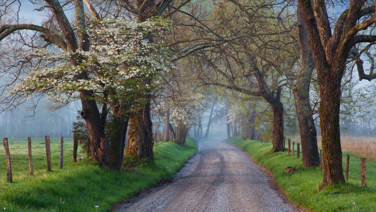 Cades Cove ，大雾山国家公园，田纳西州，美国- Bing Gallery · Peapix