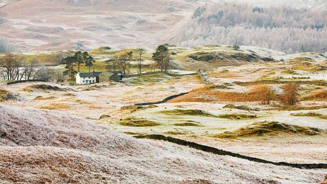 Hoar frost on vegetation near Coniston, Lake District