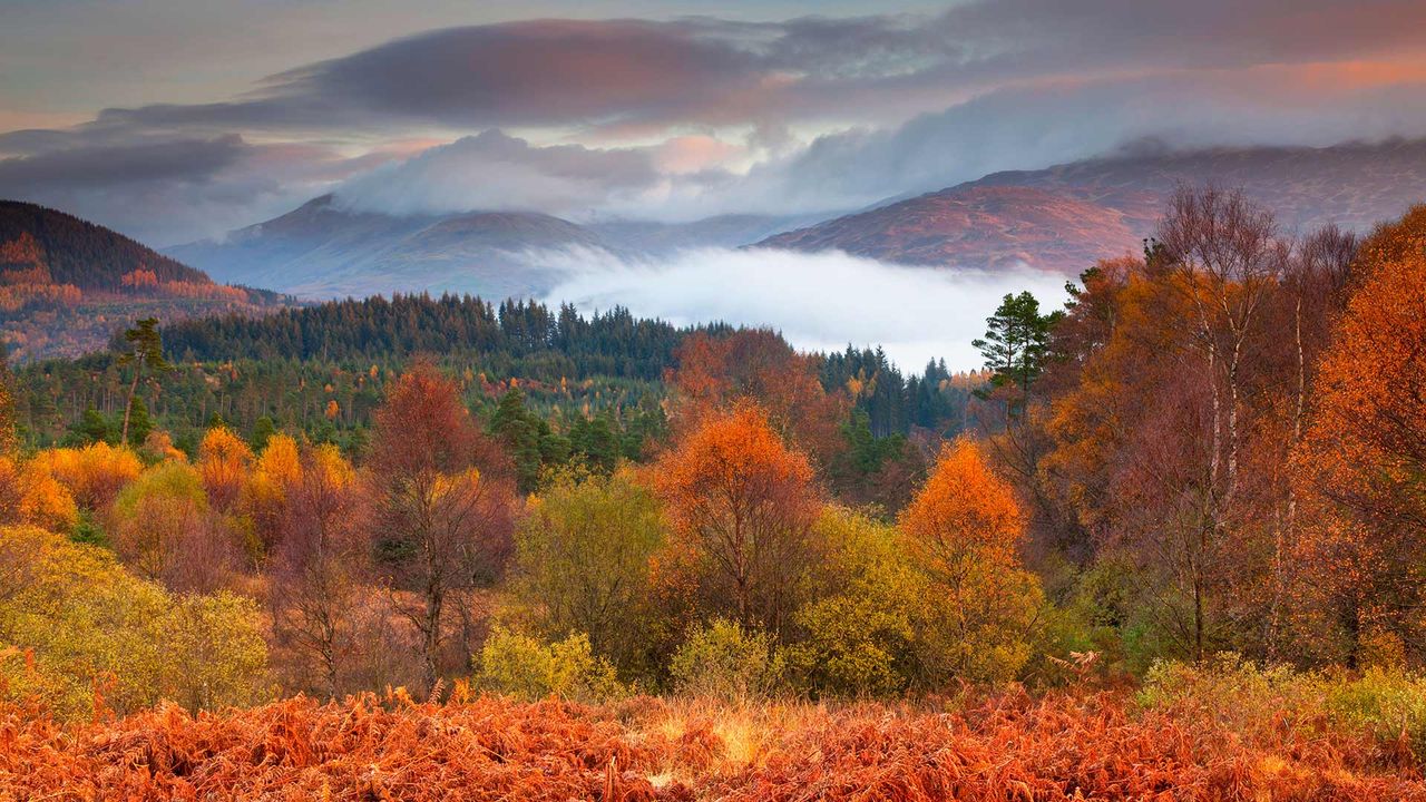 The Trossachs National Park in autumn, Stirling, Scotland