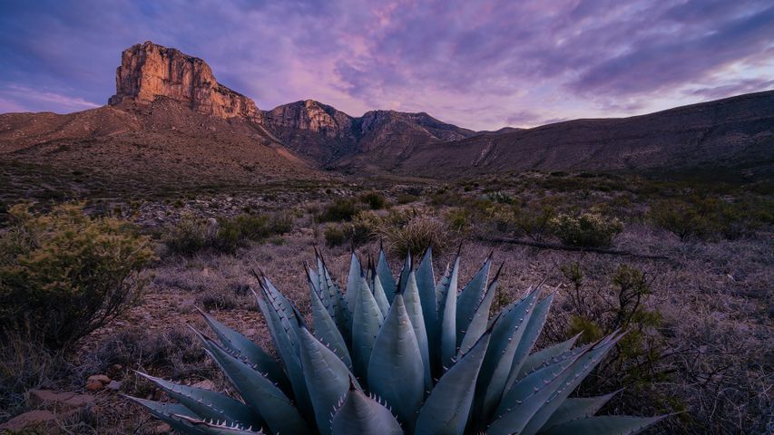 El Capitan au lever du soleil, parc national des Guadalupe Mountains, Texas, États-Unis