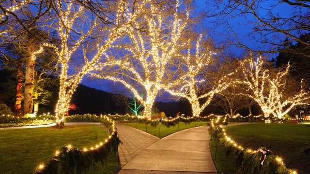 Christmas in Butchart Gardens, Victoria, B.C.