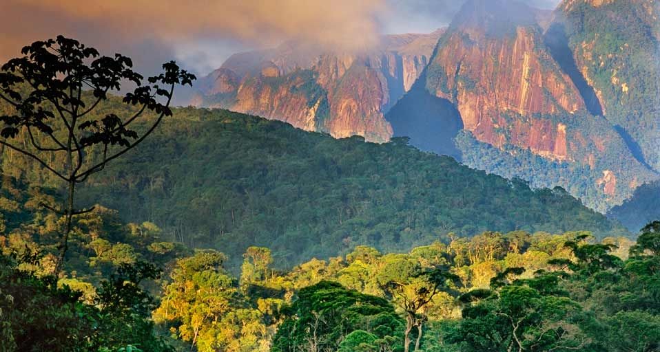 Atlantic rainforest and Organ Mountains in Serra dos Orgaos National Park, Brazil