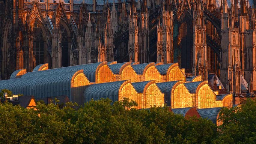 ｢ケルン大聖堂とルートヴィヒ美術館｣ドイツ, ケルン 