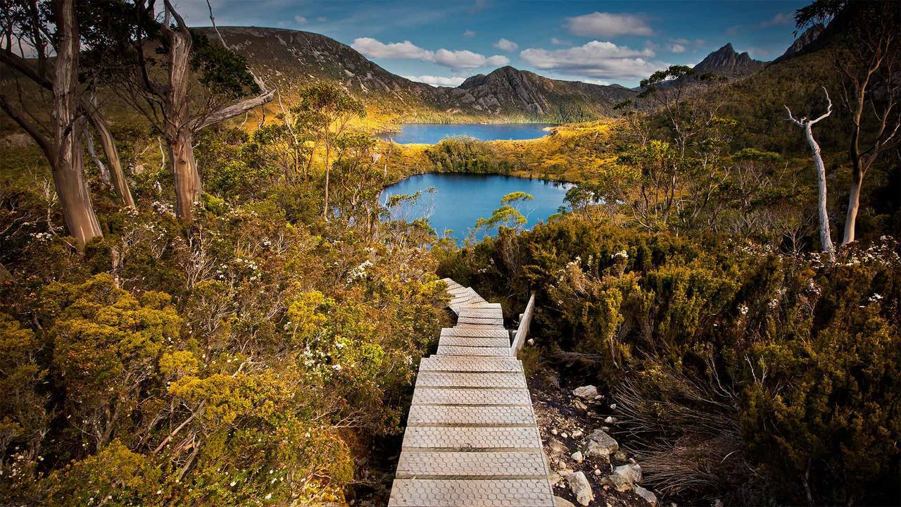 Cradle Mountain-Lake St. Clair National Park, Tasmania, Australia