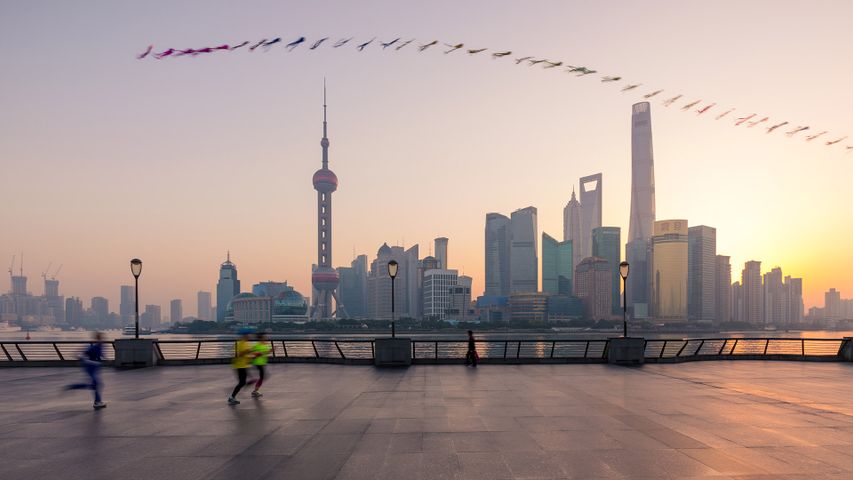 【今日秋分】清晨以风筝为伴晨跑中的人，中国上海 