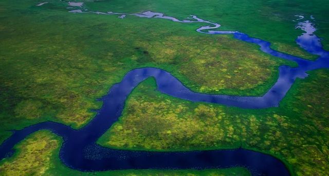 Ein mäandernder Fluss in der Nähe der Bucht Cook Inlet, Anchorage, Alaska – Patrick J. Endres/Visuals Unlimited, Inc. ©