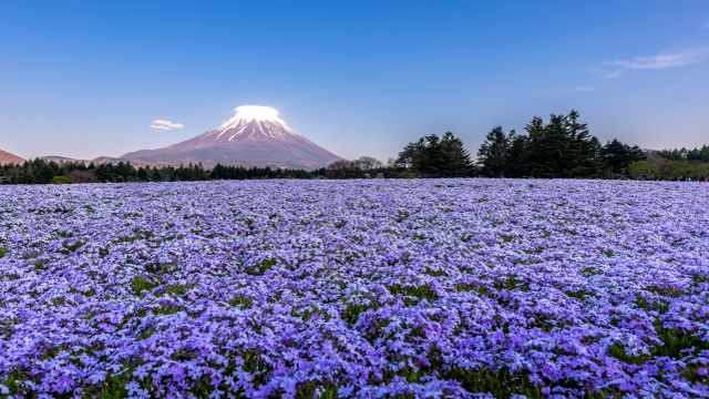 富士山 backend=imagemagick;version=1;