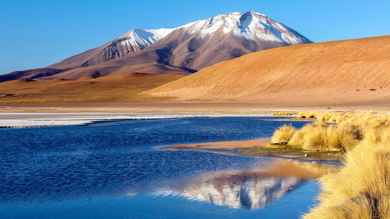 Snow-capped mountain, blue high-altitude lake, golden grass, Altiplano, Bolivia