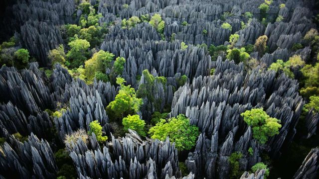 Parc national Tsingy de Bemaraha, Madagascar