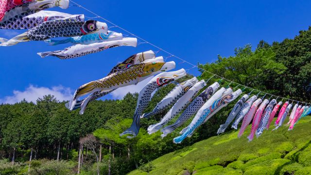 こいのぼりと東京タワー｣東京, 港区 - Bing Gallery · Peapix