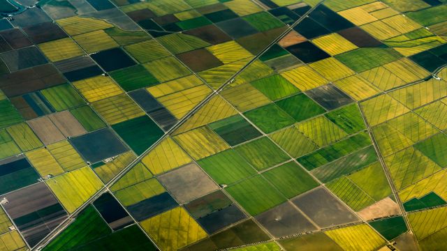 Patchwork farm fields, Sacramento Valley, Central Valley, United States