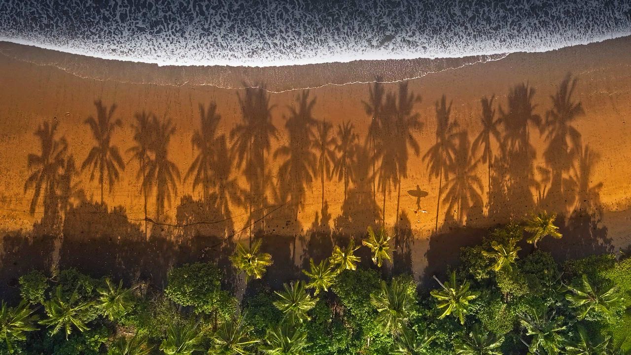 Surfer walking between palm trees in Medewi, Bali, Indonesia