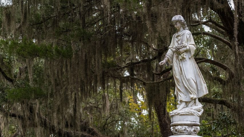 Bonaventure Cemetery, Savannah, Georgia, USA