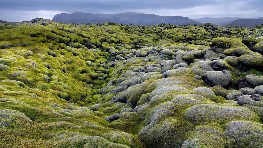 Eldhraun lava field in the Laki fissure system, Iceland