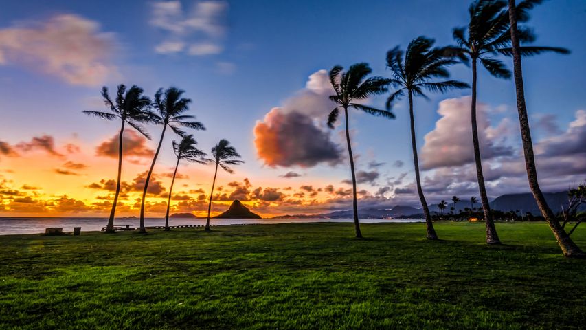 Mokoli'I Island in Kaneohe Bay, seen from Kualoa Regional Park, Oahu, Hawaii