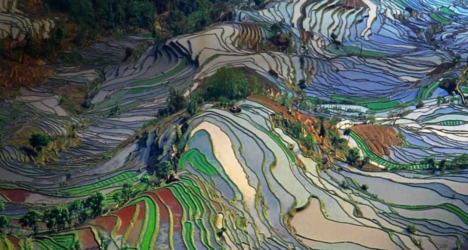 ｢元陽の棚田｣中国, 雲南省