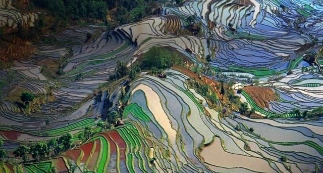 ｢元陽の棚田｣中国, 雲南省