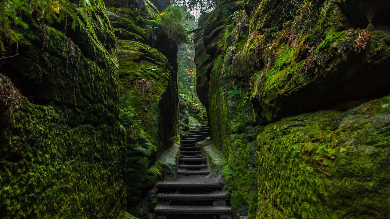 Saxon Switzerland National Park, Germany 