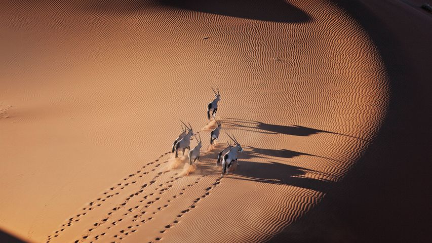 Making tracks