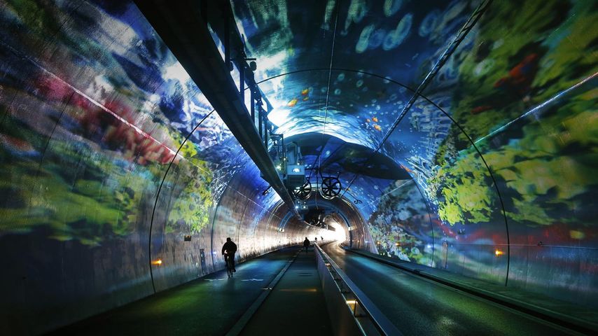 Tunnel de la Croix-Rousse, Lyon, Rhône-Alpes 