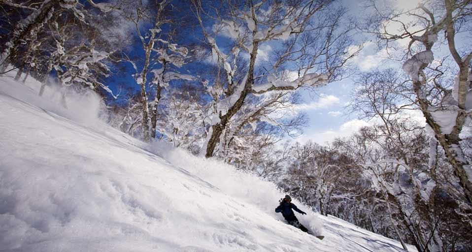 ｢ニセコバックカントリー｣北海道, ニセコ
