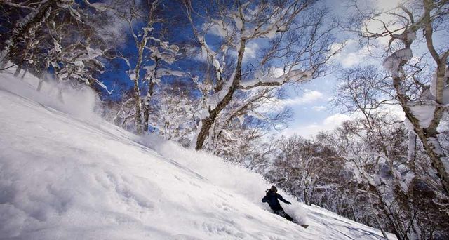 ｢ニセコバックカントリー｣北海道, ニセコ