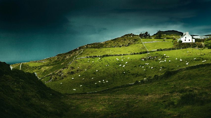 爱尔兰，羊头半岛(曼特瓦)