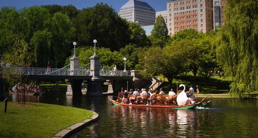 Swan boats at the Lagoon Bridge in the Boston Public Gardens, Boston, Massachusetts, USA