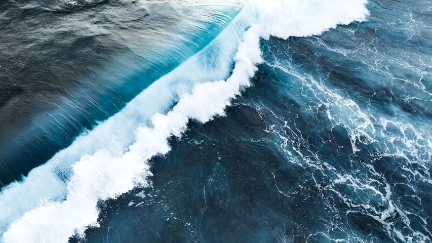 Surf science