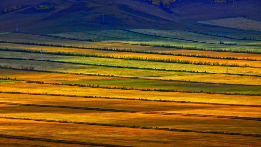 Prairie de HulunBuir, Mongolie-Intérieure, Chine. 