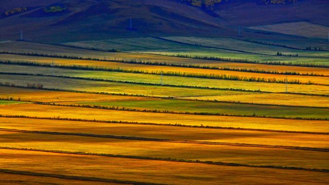Hulunbuir grasslands, Inner Mongolia, China