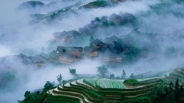 Longsheng rice terraces, Guangxi, China