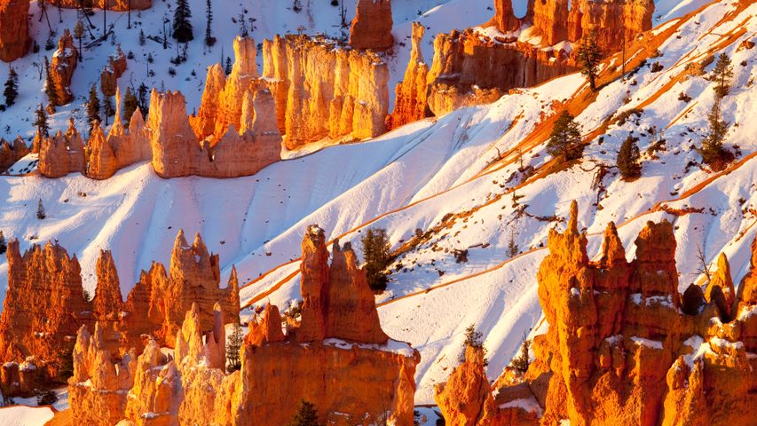 Sandstone hoodoos, Bryce Canyon National Park, Utah, United States