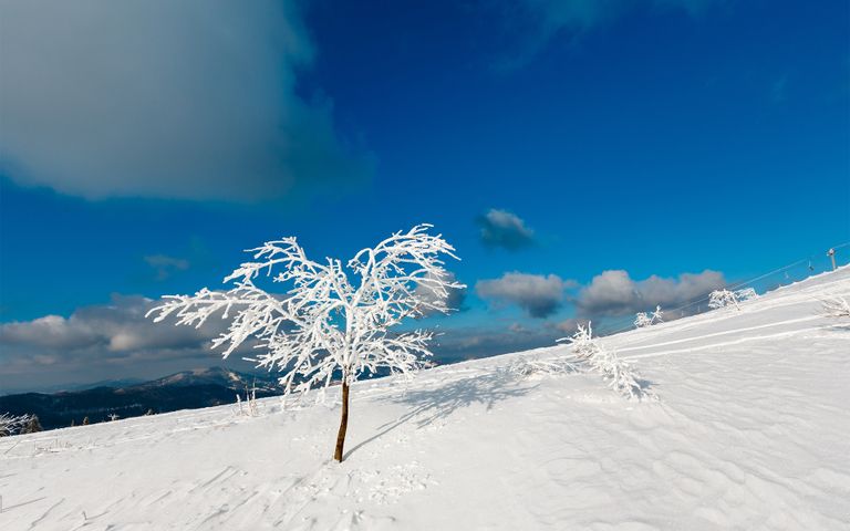 Ski Paradise Windows 10 Theme