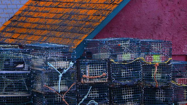 Lobster traps stacked waiting for the lobster fishing season on the Bay of Fundy in Canada.