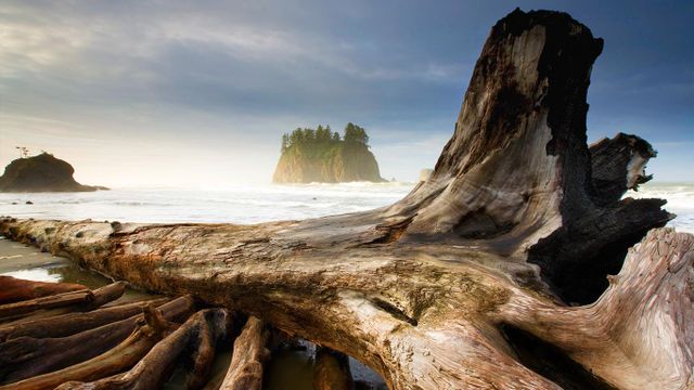 Second Beach, near Olympic National Park and La Push, Washington