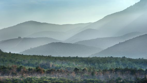 从文本编辑转向图形编辑