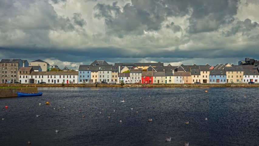 Bunte Häuserreihe „The Long Walk“ im Hafen von Galway, Irland. Dort findet zurzeit das Galway Austern-Festival statt.