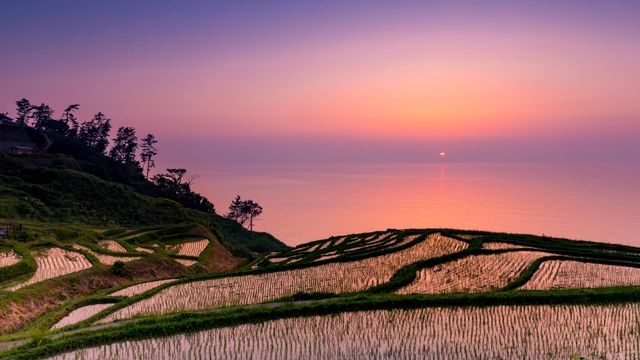 「白米千枚田の夕日」石川, 輪島市