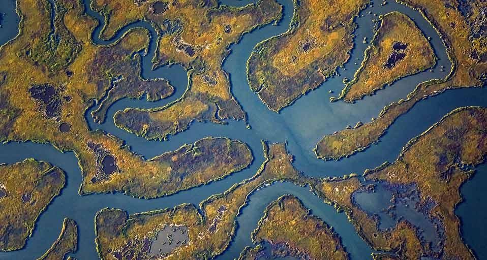 Aerial view of meandering waterways in a salt marsh on the Cape May Peninsula, New Jersey