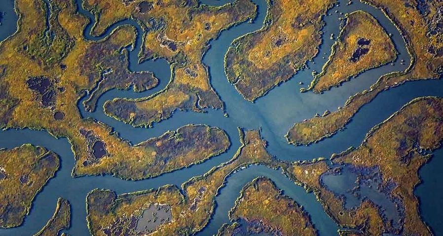 Aerial view of meandering waterways in a salt marsh on the Cape May Peninsula, New Jersey