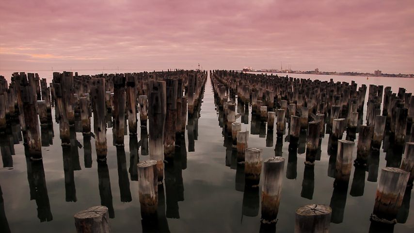黄昏下澳大利亚墨尔本的王子码头
