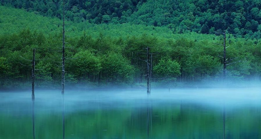 ｢大正池｣長野, 松本, 上高地