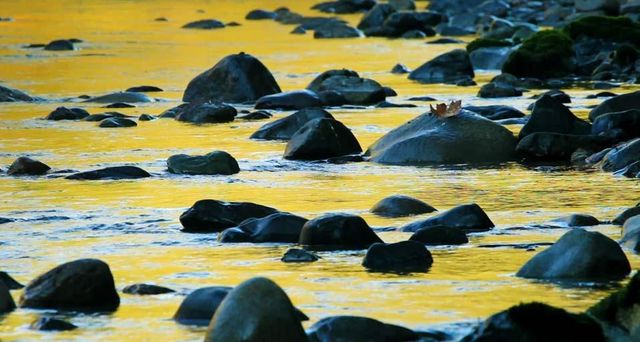 Stillaguamish River of Mount Baker-Snoqualmie National Forest, Washington