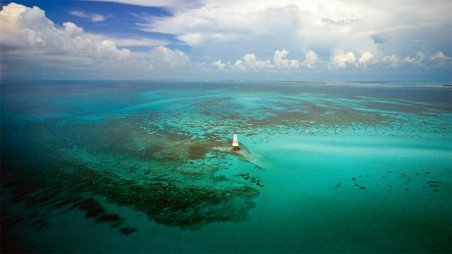 Alligator Reef Light in the Florida Keys